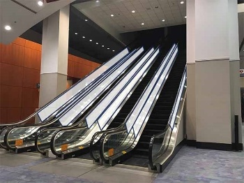 Picture of Escalator Graphics West Lobby (South)  EGWL9-16